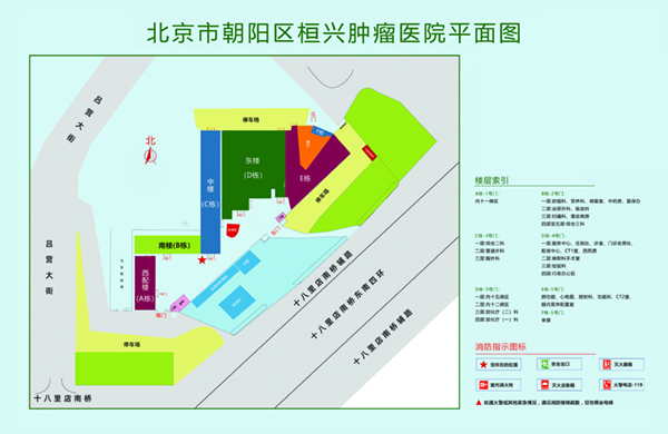 我要操你啊啊啊射了在线观看北京市朝阳区桓兴肿瘤医院平面图